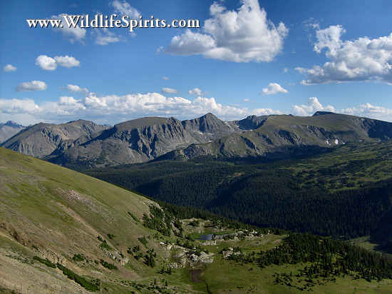 Click Picture to send as an  E-PostCard 65k 550x412